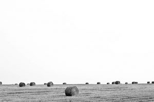 A Field in Frankonia